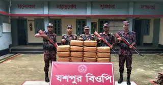 ফেনীর সীমান্তে ৫৭ কেজি ভারতীয় গাঁজা জব্দ